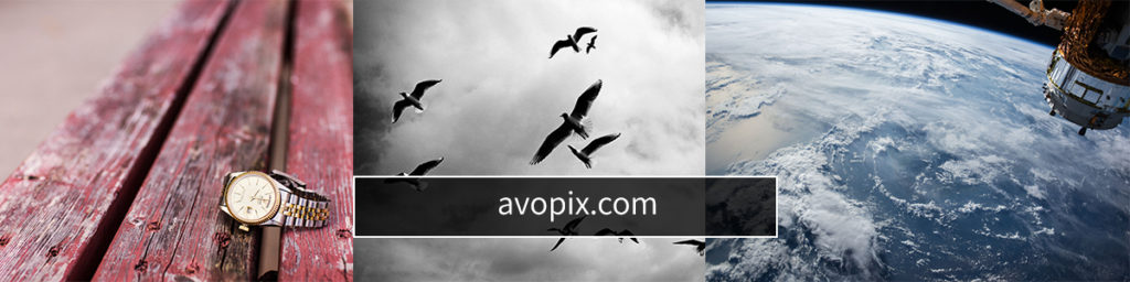 תמונות-בחינם-מאתר-avopix
